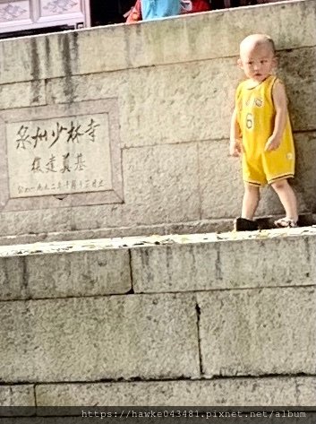 今夏全要幸福D7（蟳浦、南少林）
