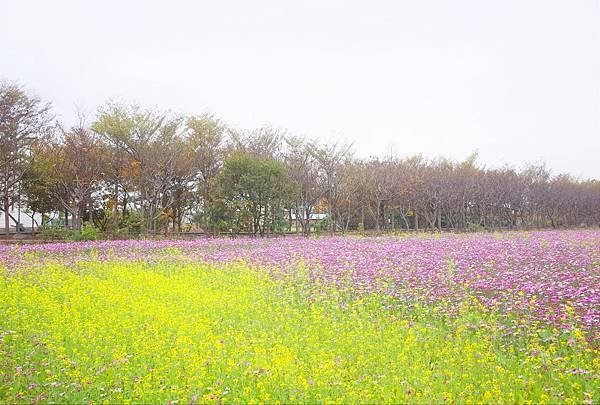 R0000106.JPG