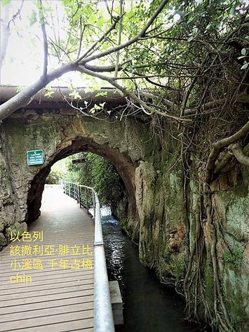 20190718_120736.jpg