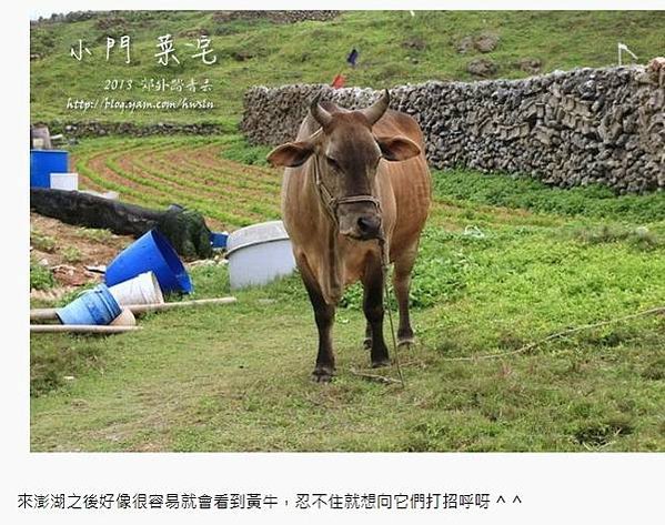 通樑古榕-澎湖最大神木有150-300歲以上的高齡/日治時期