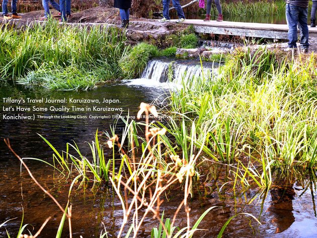 pond3P1280977_Fotor