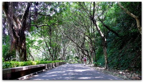 新北新莊 青年公園