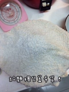 IMG_9515.JPG
