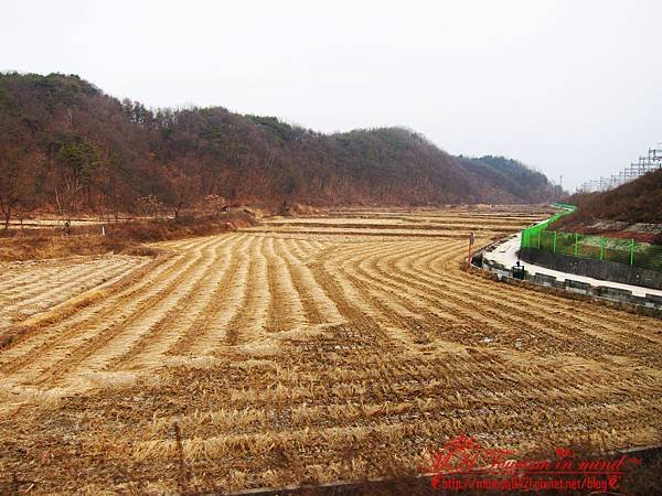 金裕貞鐵道自行車