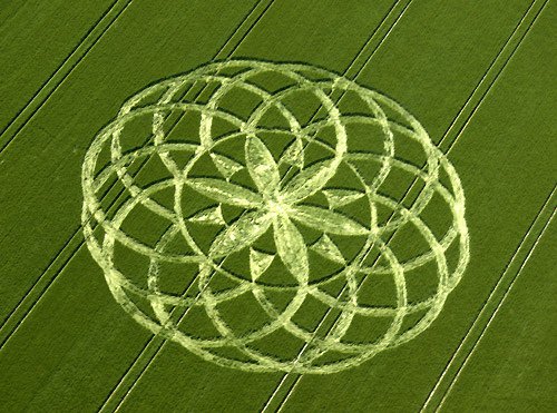 Floweroflifcecropcircle02