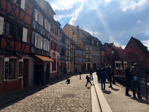 LINE_ALBUM_Colmar_211123_0 .png