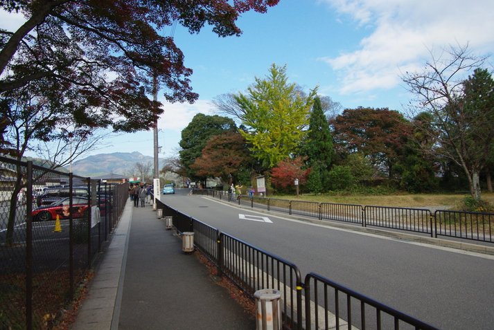 IMGP8558.JPG