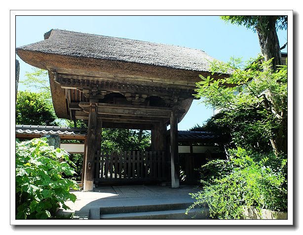 極樂寺12