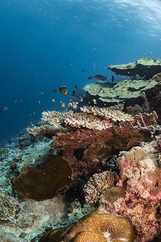 20190717_HOUSEREEF-70.jpg