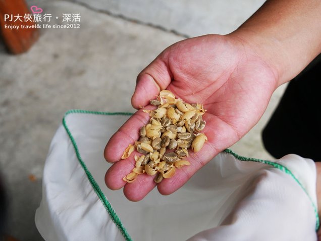 PJ大俠嘉義旅遊阿里山景點樂野部落宿瓦納咖啡體驗