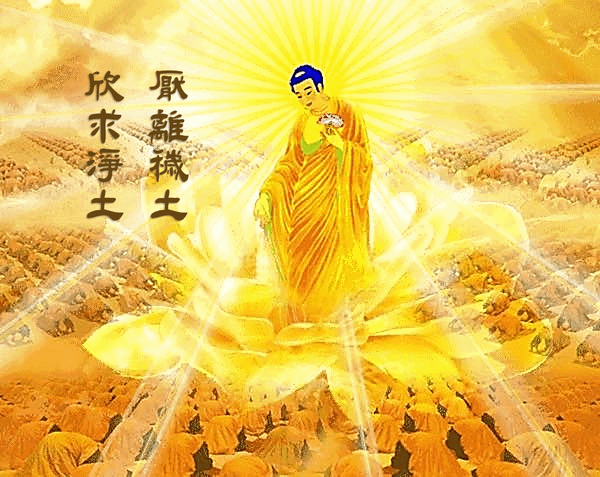 穢土與淨土.png