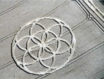 cropcircle