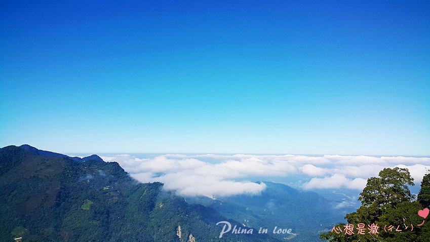 1阿里山公路台18線沿途風景003 拷貝.jpg