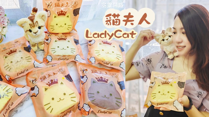 貓夫人LadyCat (1).jpg