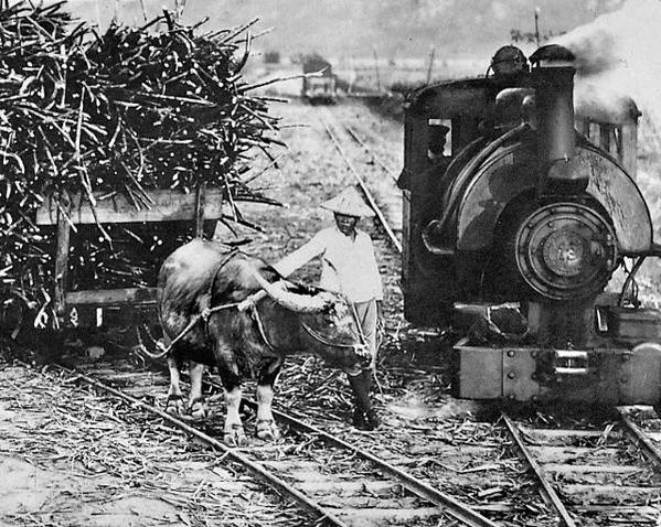 火犁曳引機/火犁仔-農耕曳引機/火犁這種蒸汽犁1937年時，