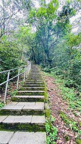 大IMG_0737.jpeg