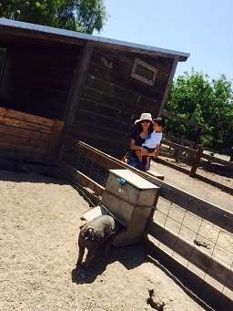 Ardenwood Historic Farm (12).jpg