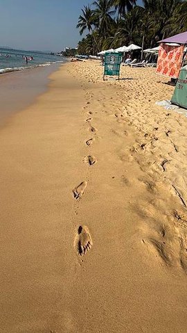 IMG_6544 (1).jpg