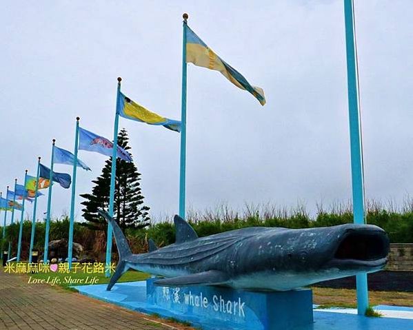 澎湖水族館, 澎湖全新開幕室內親子景點,澎湖 海底隧道, 澎湖 海龜, 澎湖 鯨鯊