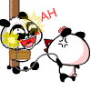 TFRB6.gif