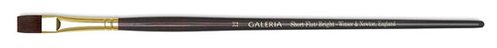 GALERIA BRUSHES-短平.jpg