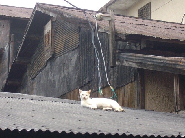 IMGP0029