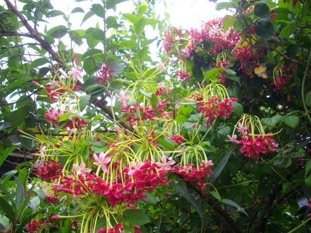 IMGP0041