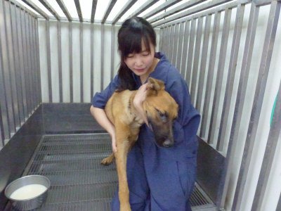 美女獸醫師簡稚澄