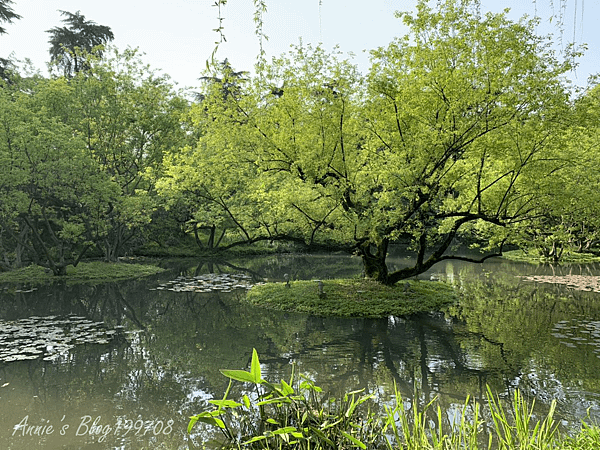 西湖風景區柳浪聞鶯.png