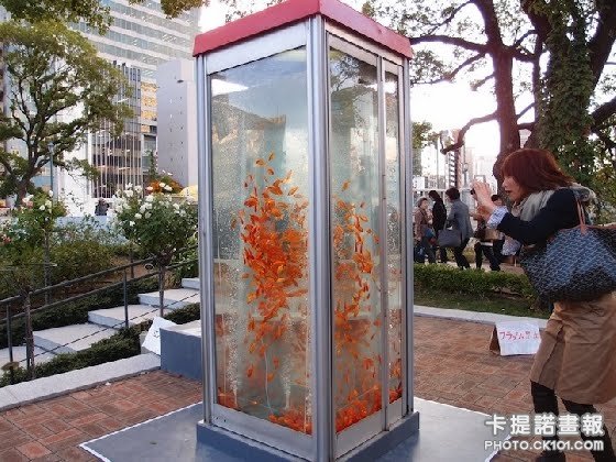 金魚電話亭