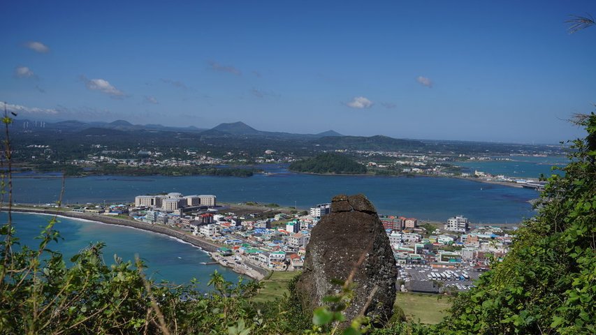 DSC03573