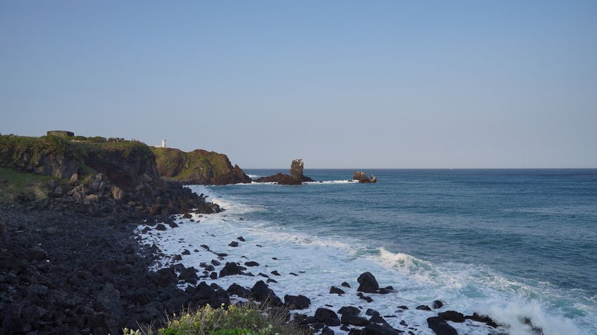 DSC03733