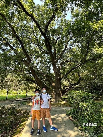 台北陽明山》從第一停車場 前往 前山公園》沿途風景老少咸宜半