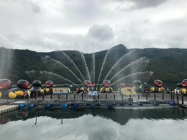 豬光寶氣躍洄瀾主燈秀 (7)