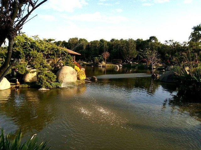 澄霖沉香味道森林館 (3)