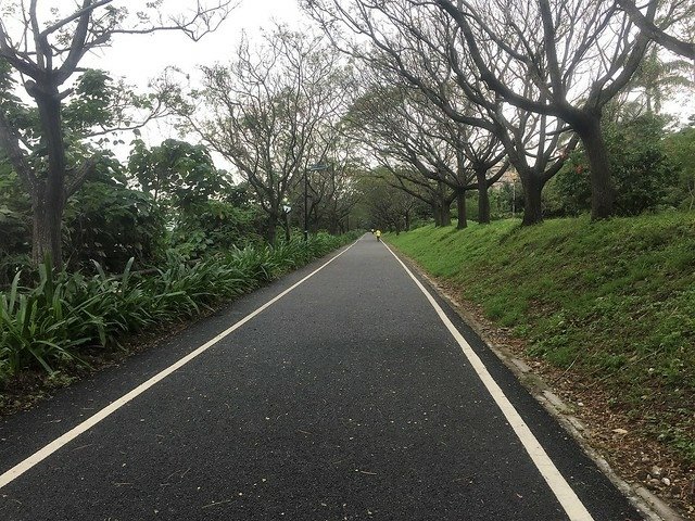 花蓮翰品晨跑 (19)