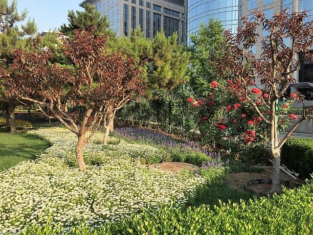 北京長安大街上跑跑天安門 (3)