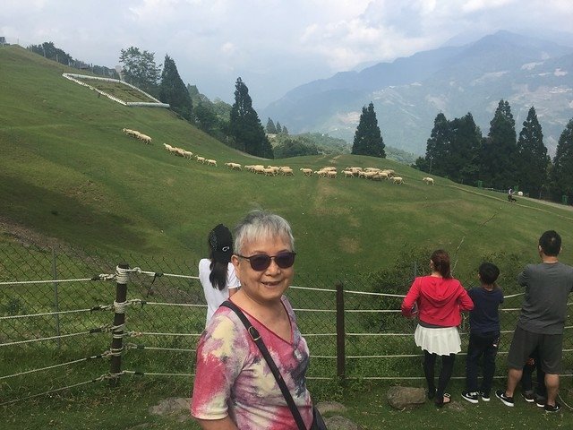 清境農場 (21)