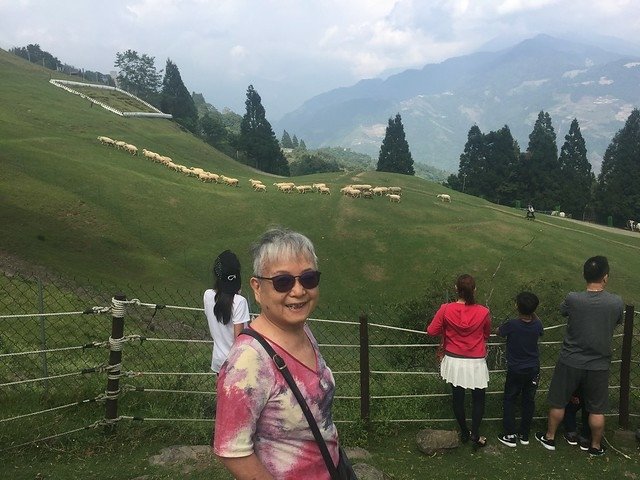 清境農場 (22)