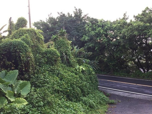 東昇路溫泉 (77)