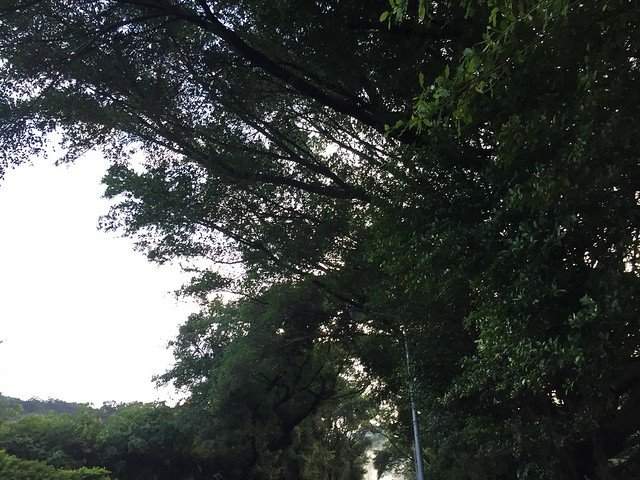 東昇路溫泉 (80)