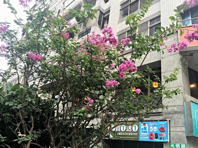 北投 (6)