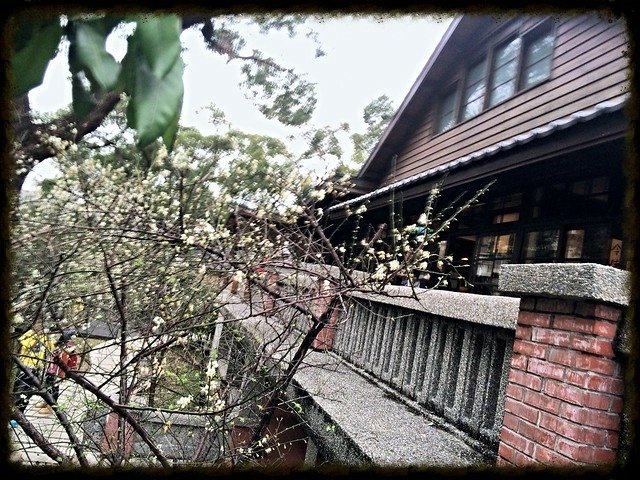于右任梅園