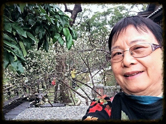 于右任梅園