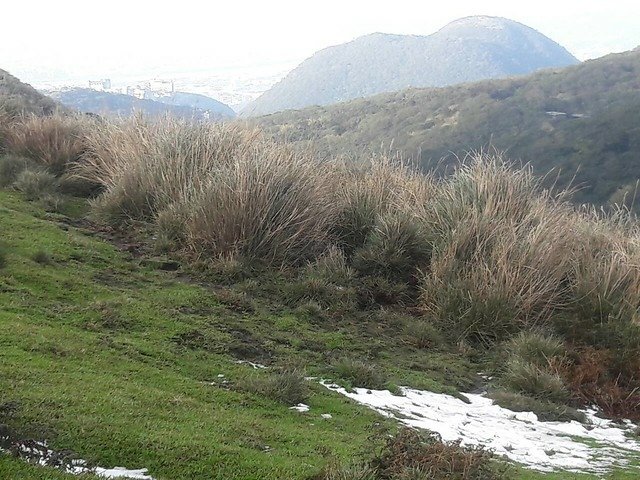 20110殘雪