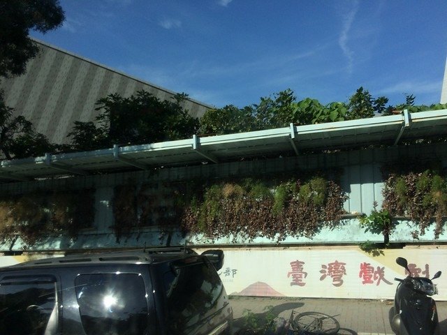 淡水河2 017