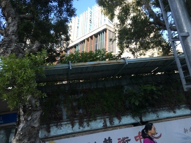 淡水河2 019