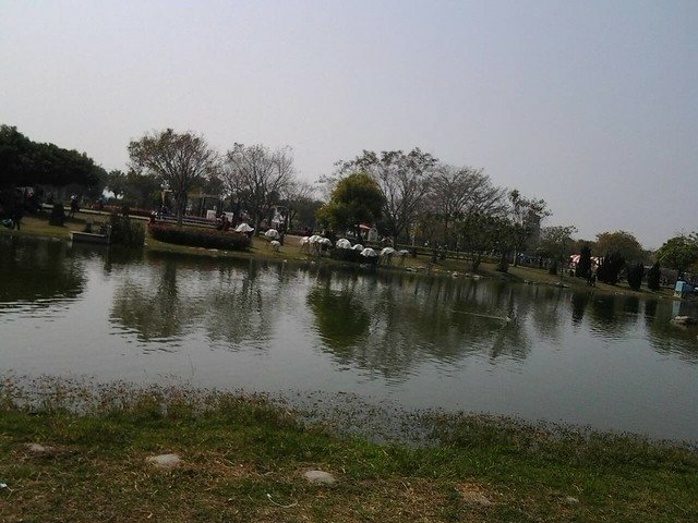 6967大溪