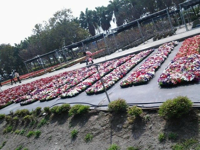 6962大溪