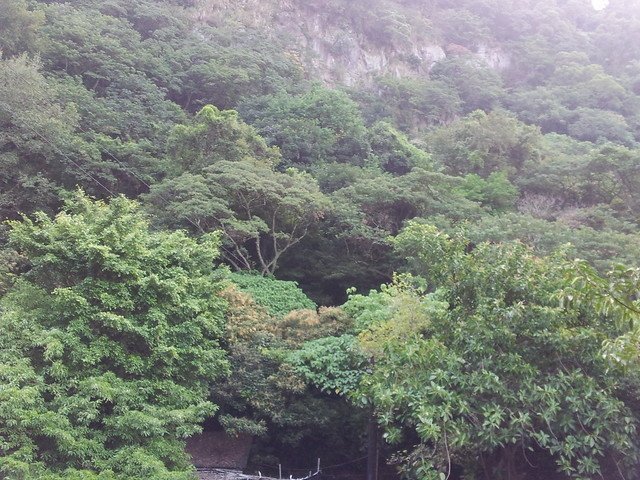 20140930_064011